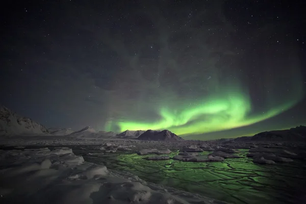 Kuzey ışıkları (Aurora Borealis doğal olgusu) — Stok fotoğraf