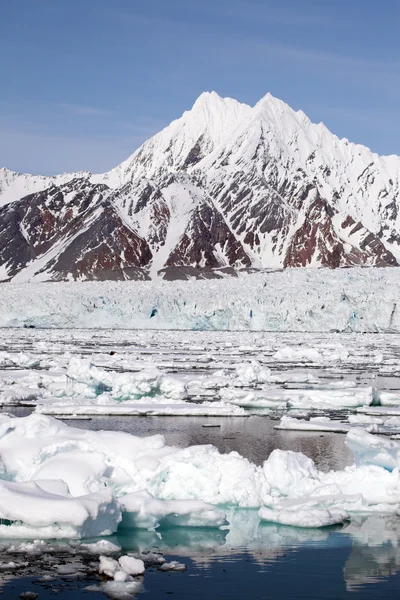 Paisagem glaciar ártica — Fotografia de Stock