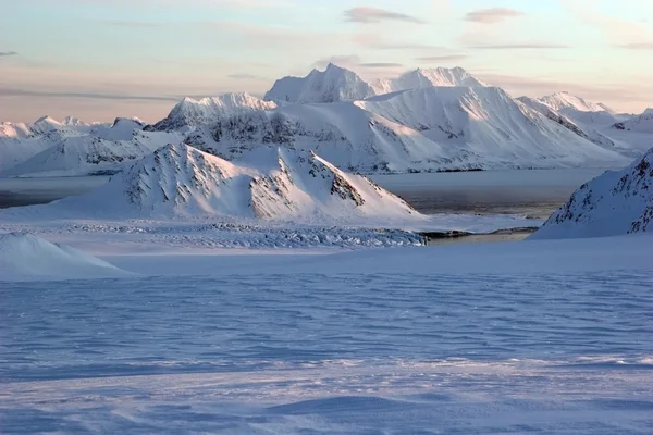 Arctic landscape — Stock Photo, Image