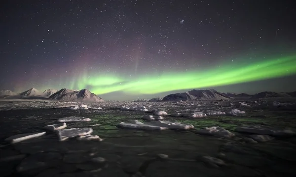 Natuurverschijnsel van Noorderlicht (Aurora Borealis) Stockafbeelding