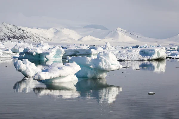 Krajobraz lodowca arktycznego Zdjęcia Stockowe bez tantiem