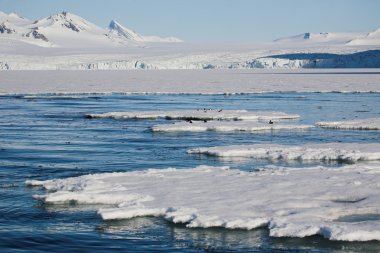 Arctic landscape clipart