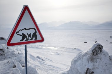 Kutup ayısı - barentsburg, spitsbergen yol işareti