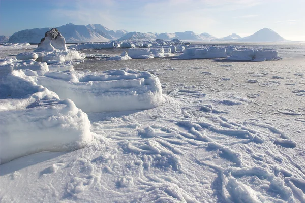 Paisagem ártica — Fotografia de Stock