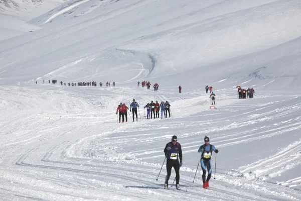 Cross country ski maraton svalbard marathon — Stockfoto