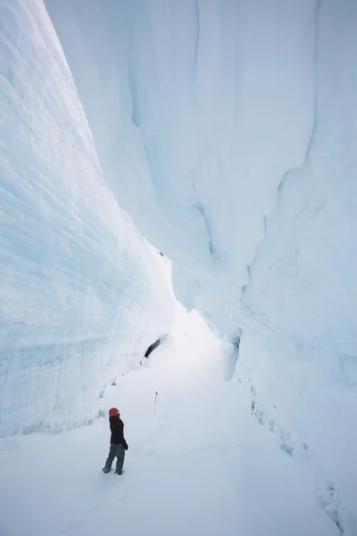 Abenteuer in der Arktis — Stockfoto