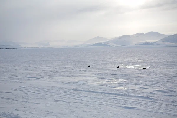 Vinter i Arktis在北极的冬天 — Stockfoto