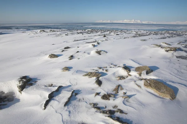 Paisagem ártica — Fotografia de Stock