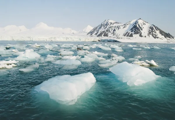 Paysage glaciaire arctique — Photo