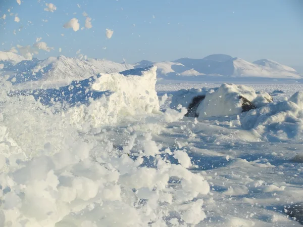 Arctic landscape — Stock Photo, Image