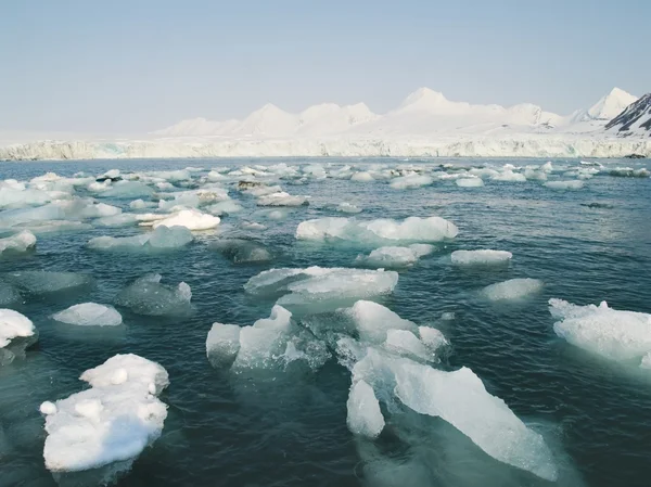 Arktiskt glaciärlandskap — Stockfoto