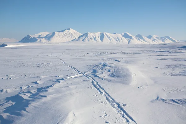 Paysage arctique — Photo
