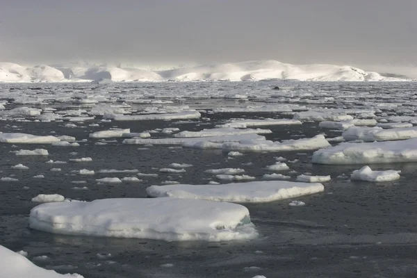 Ледниковый ландшафт Арктики — стоковое фото