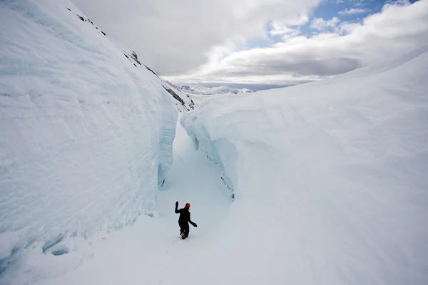 北極を冒険します。 — ストック写真