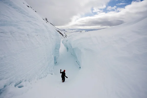 Aventure dans l'Arctique — Photo