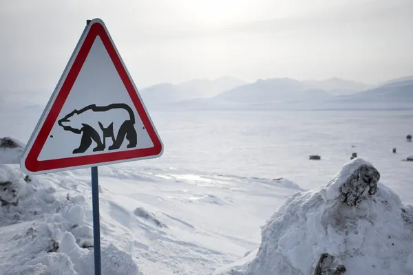 Kutup ayısı - barentsburg, spitsbergen yol işareti Stok Resim