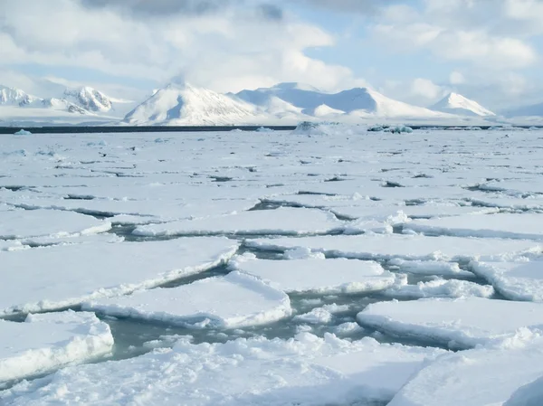 Arctic glacier landscape Royalty Free Stock Images