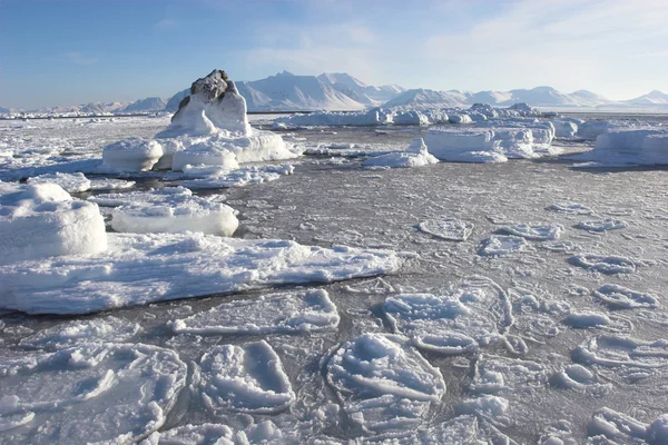 Arktik manzara Stok Fotoğraf