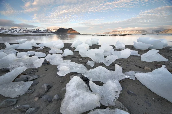 Isen på Arktis stranden - Spetsbergen, svalbard — Stockfoto