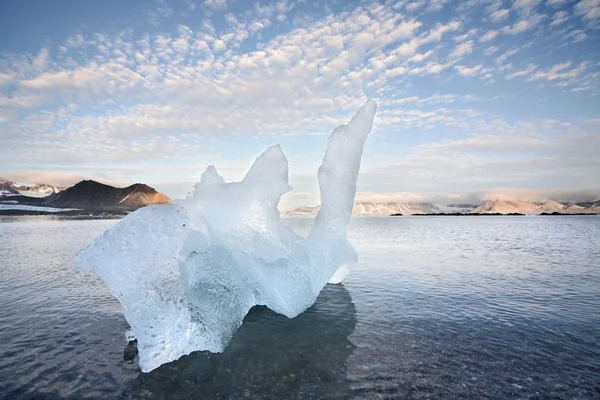 IJssculptuur in de Arctische fjord — Stockfoto