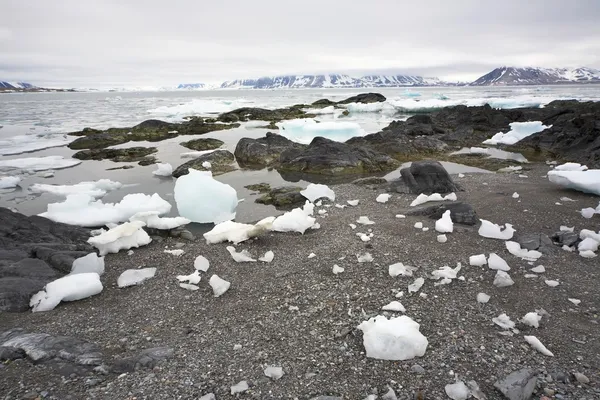 Arktiska fjord efter vintern — Stockfoto