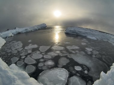 Dondurucu Kuzey Buz Denizi üzerinde güneş