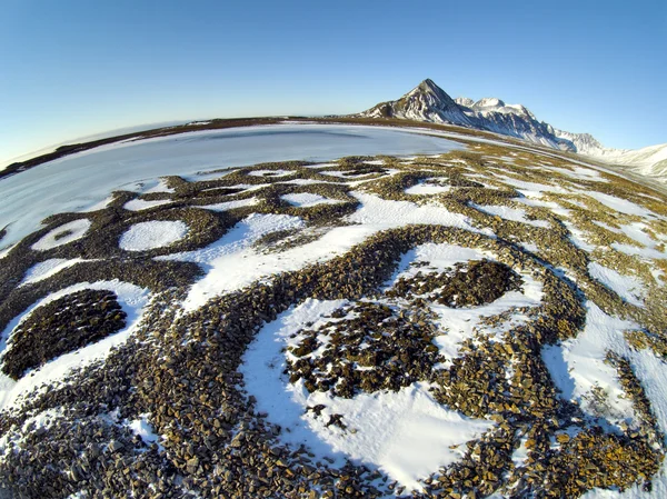 Patterned ground in the Arctic tundra - natural phenomenon of rocks selection - Spitsbergen, Svalbard — Stock Photo, Image