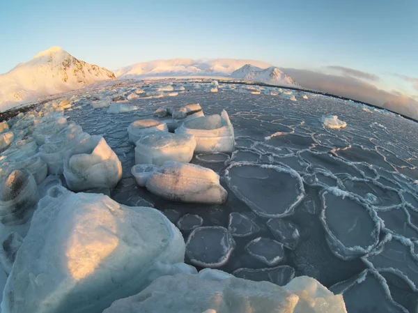 Bevriezing Arctic fjord - Spitsbergen, Svalbard — Stockfoto