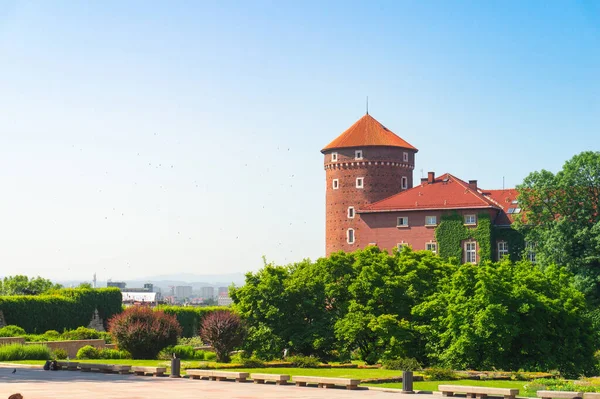 Sandomierz Toren Van Het Wawel Kasteel Krakau Uitzicht Vanaf Binnenplaats — Stockfoto