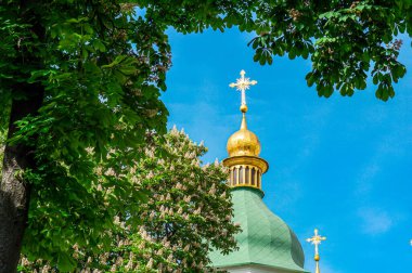 Kyiv 'deki Aziz Sophia Katedrali. Ortodoks Katedrali 'nin Altın Kubbeleri