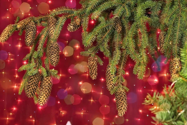 Праздничная Рождественская Открытка Еловых Ветвей Большими Конусами Яркими Сияющими Гирляндами — стоковое фото