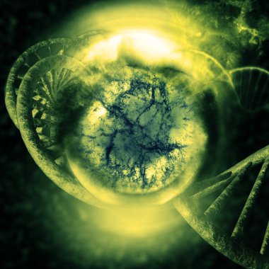 virüslü dna