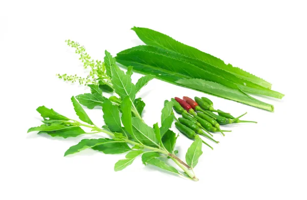 kuş kırmızı biber, fesleğen, uzun kişniş