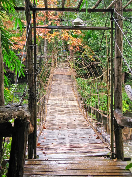 Ponte de madeira pendurada atravessar o rio — Fotografia de Stock