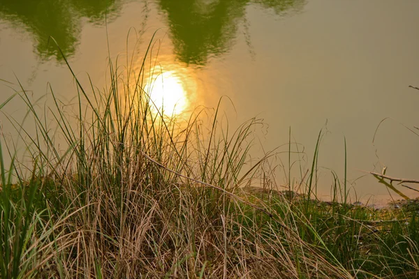 Güneş yansıması ile dere