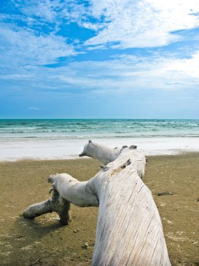mavi deniz ve gökyüzü ile günlük chao lhao beach, chanthaburi, thail