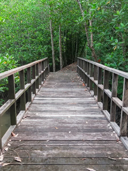 Wooden bridge — Stock Photo, Image