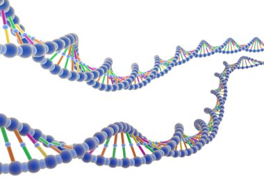 Beyaz arka planda DNA