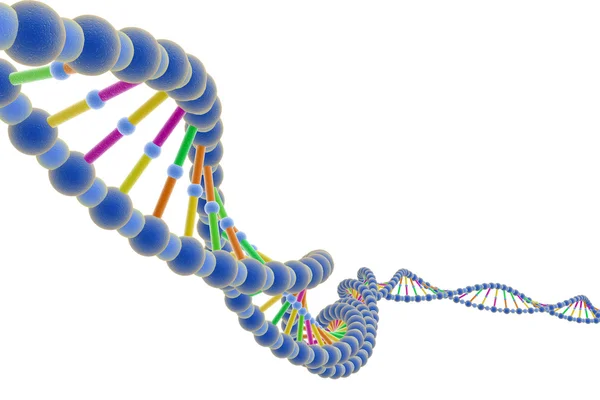 DNA σε λευκό φόντο — Φωτογραφία Αρχείου