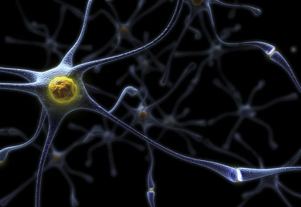 Neuronas — Foto de Stock