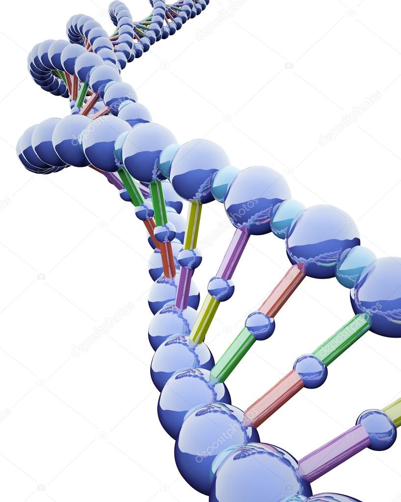 Metallic DNA Chains