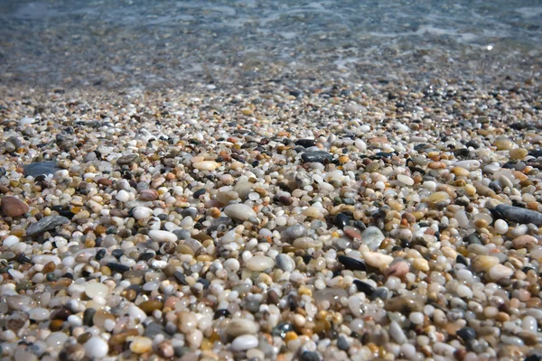 Small pebbles in beach — Stock Photo, Image