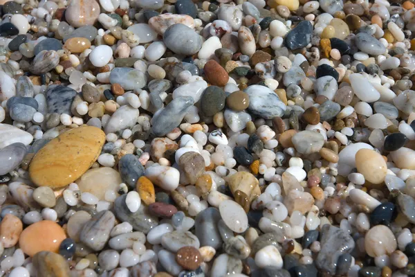 Small pebbles in beach — Stock Photo, Image