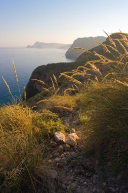 Sahil Peyzaj Aydınlatma