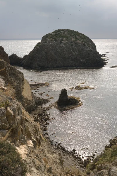 Stenen eiland in het kustlandschap, — Stockfoto