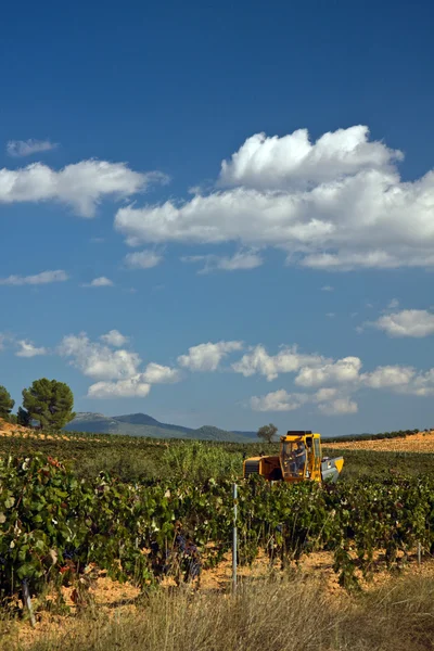 Automatic combine-harvester gathering grape — Stock Photo, Image