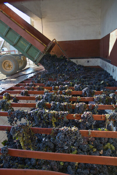 Tractor and gathered