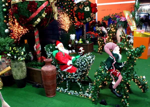 Árboles de Navidad — Foto de Stock