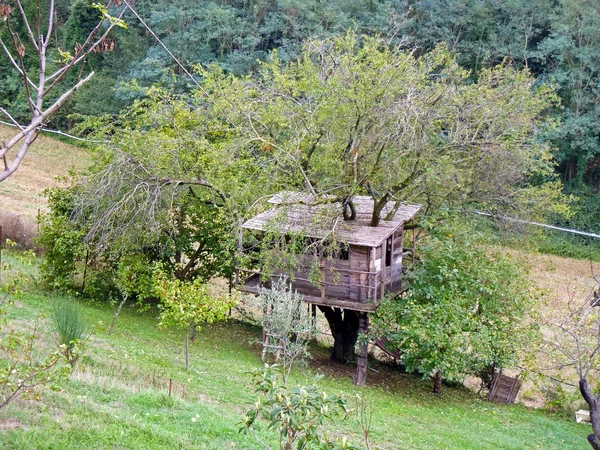 Дерево будинок — стокове фото