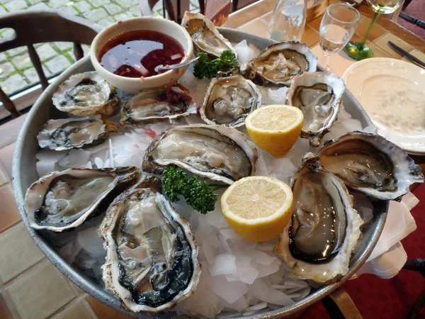 Oysters — Stock Photo, Image